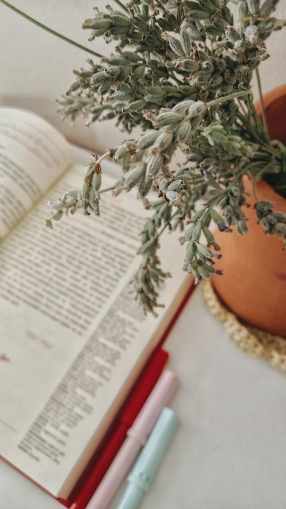 pexels photo 37098956 37098956 An open book next to a terracotta pot with lavender, creating a peaceful reading atmosphere.